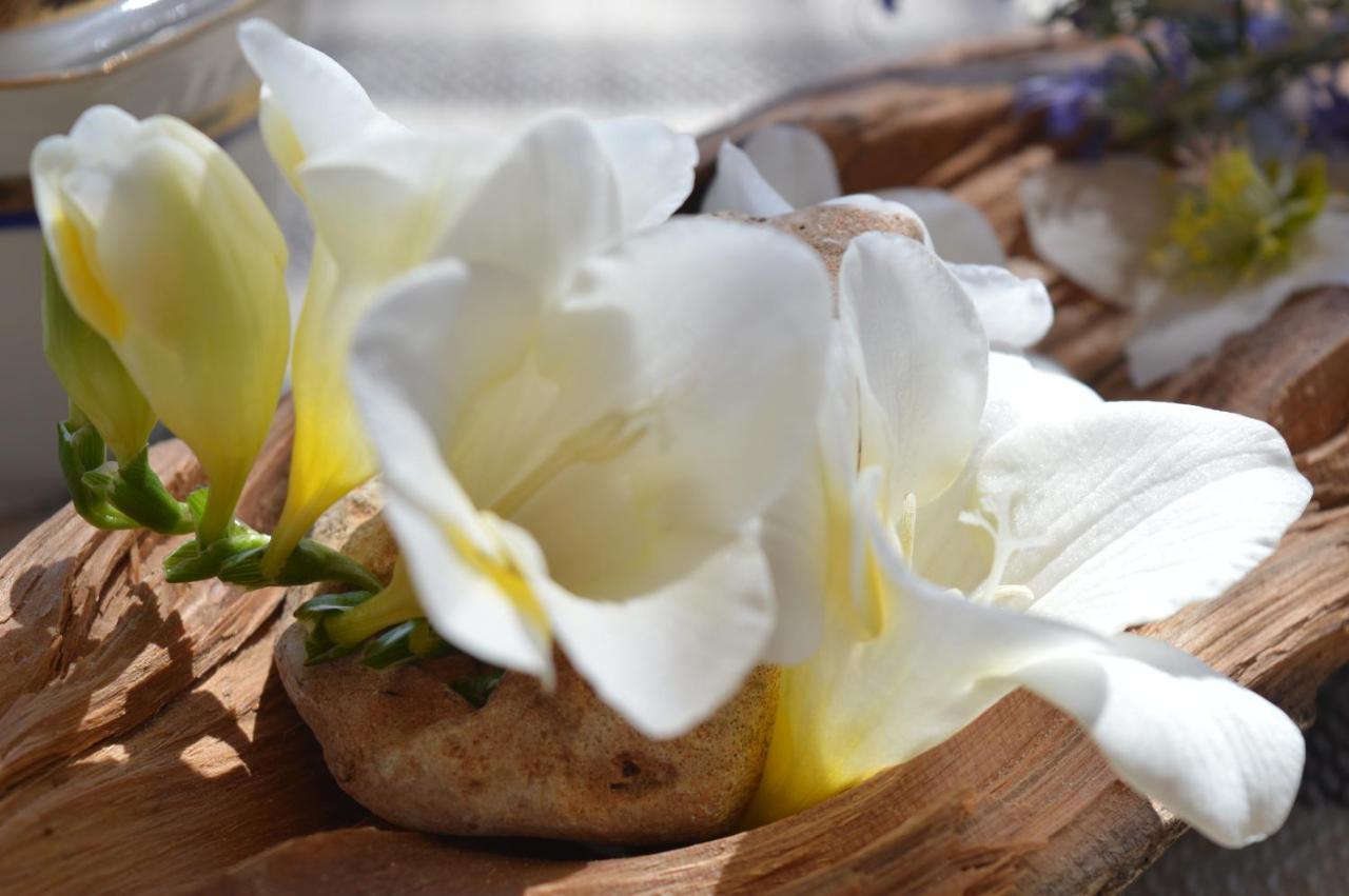 B&B Su Biancu - Sardinian Experience Urzulei Kültér fotó